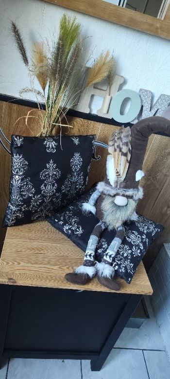 Lot de 2 coussins et taies décoratif