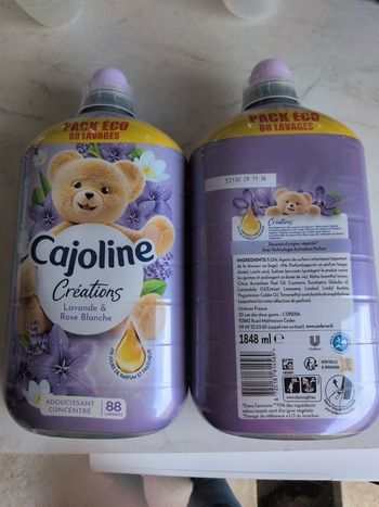 Cajoline lavande et rose blanche 