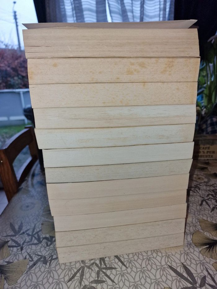 Saga les chevaliers d'émeraude intégrale en grand format - photo numéro 4