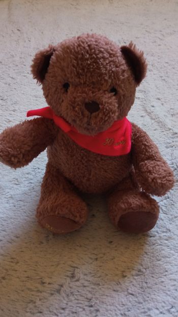 Ourson en peluche Beauty Success