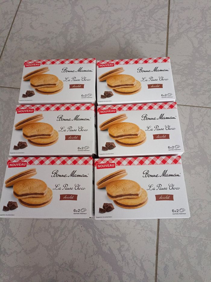 Lot de biscuits au chocolat