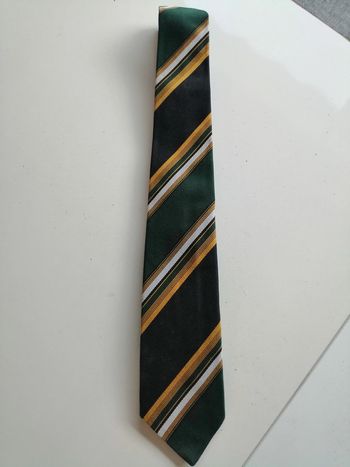 cravate verte rayée