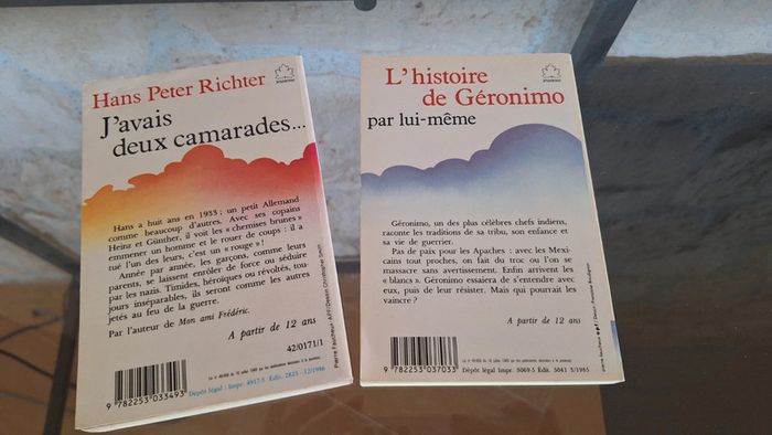 Lot de livres enfants L histoire de geromino et j avais deux camarades - photo numéro 4