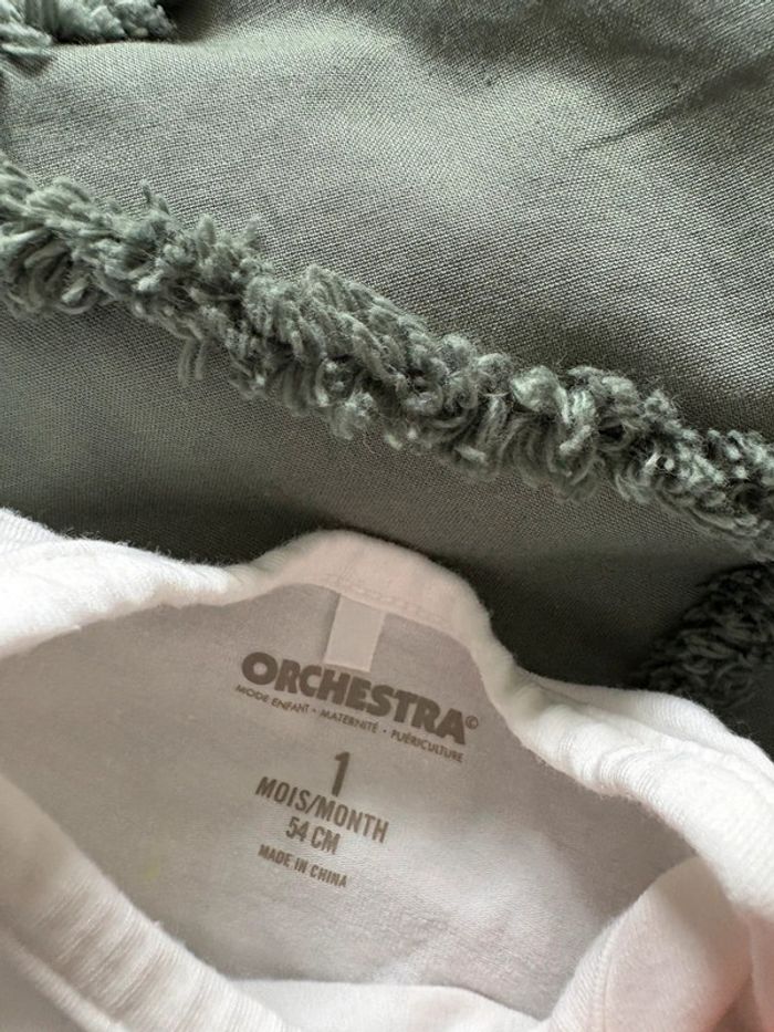 Ensemble Orchestra - photo numéro 2