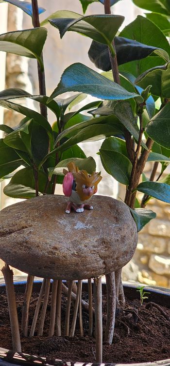 Super figurine Pokemon Nintendo tomy C.G.T.S.J Piafabec 