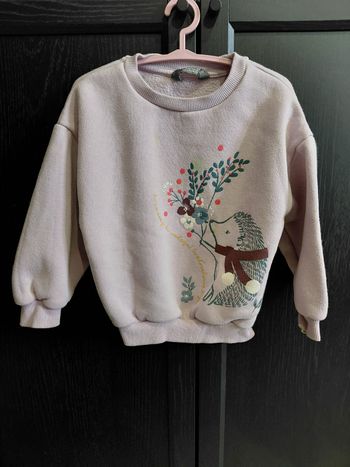 Pull violet clair hérisson et fleurs Primark taille 4ans