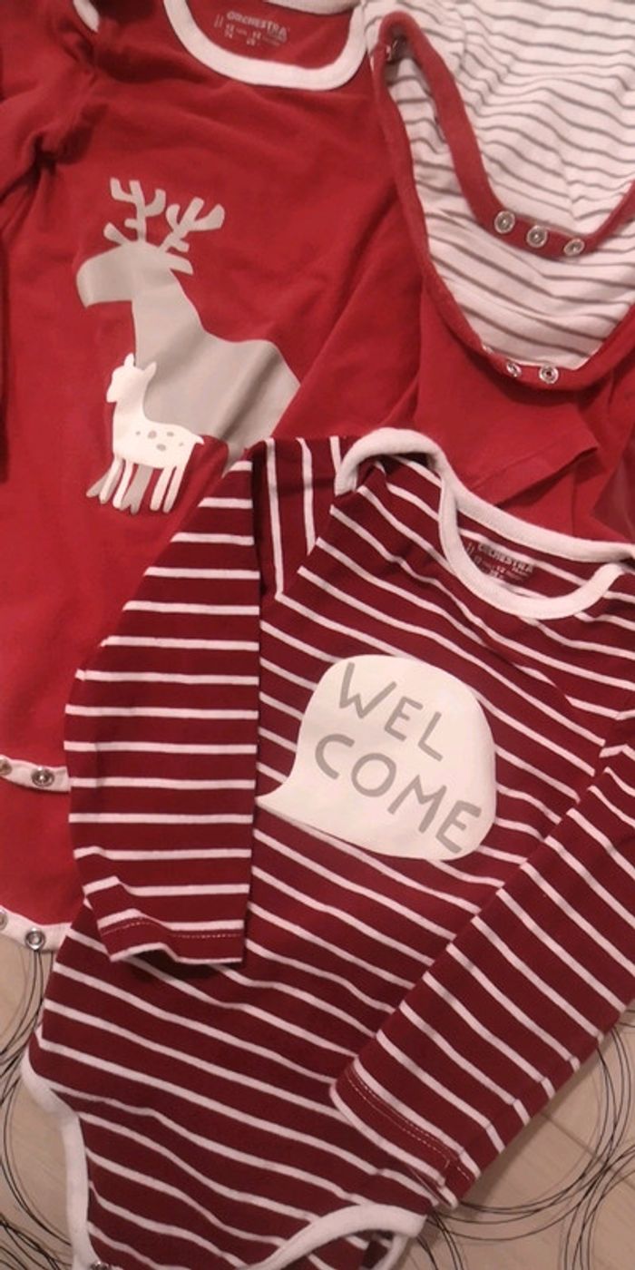 Lot bodies - photo numéro 2