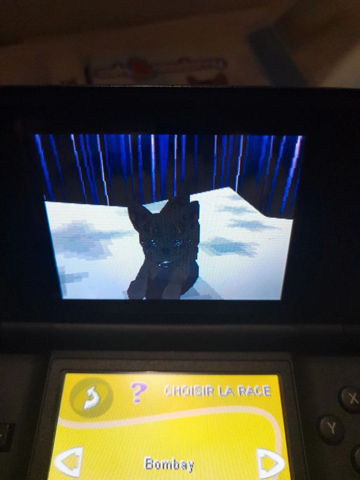 Cats Academy Nintendo DS - photo numéro 13