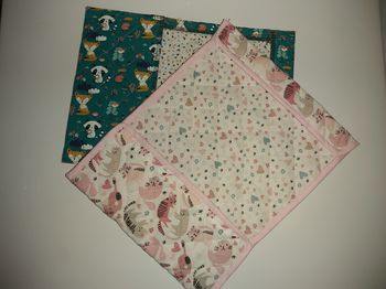 Protège carnet de santé reversible
