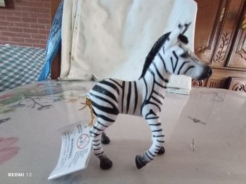 Bébé zèbre neuf papo