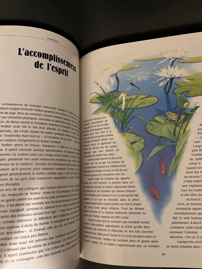 Attention à ne pas mettre en toutes les mains ! Lot de 3 livres ésotériques - photo numéro 5