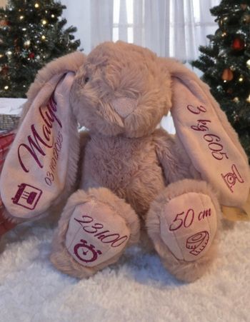 Peluche lapin personnalisé 