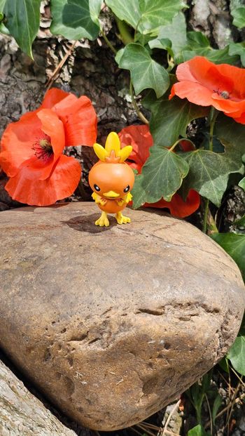 Super figurine Pokemon Nintendo Poussifeu