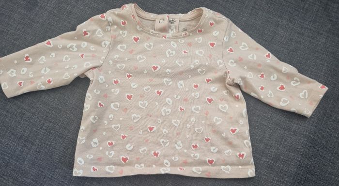 Lot de 3 t-shirts cotton orechestra/petits cailloux - photo numéro 3