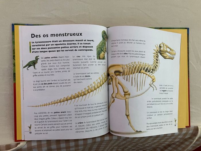 Livre tyrannosaure - photo numéro 3