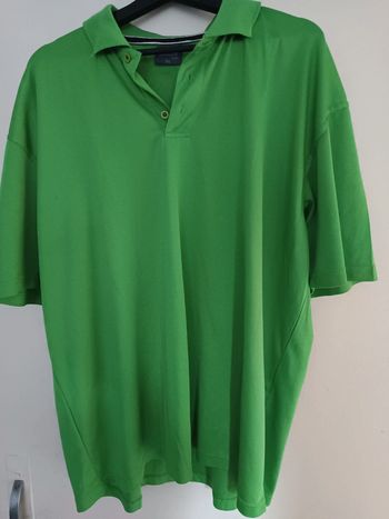 Polos mustaghata vert