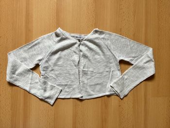 Gilet court gris irisé 