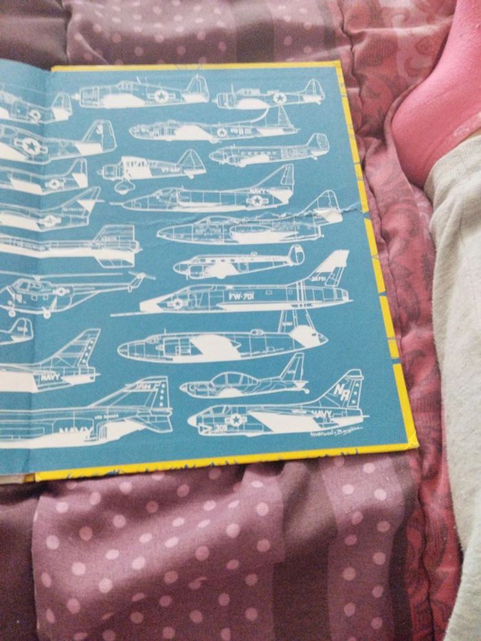 Les aventures de Buck danny - photo numéro 6