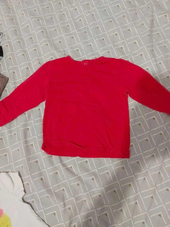 Lot 2 tee-shirt 24 mois - photo numéro 2