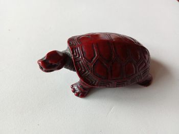Petite tortue deco