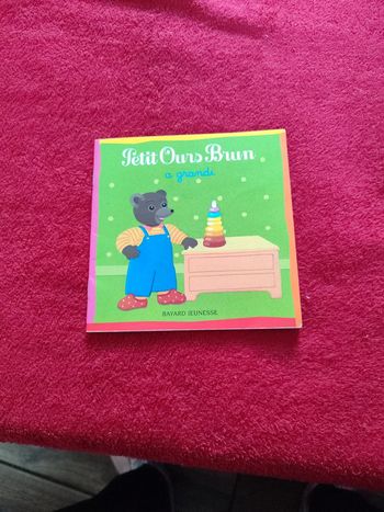 Petit ours brun a grandi