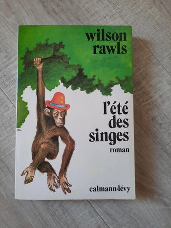 Livre " L été des singes "