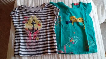 Lot deux Tee-shirt 36mois