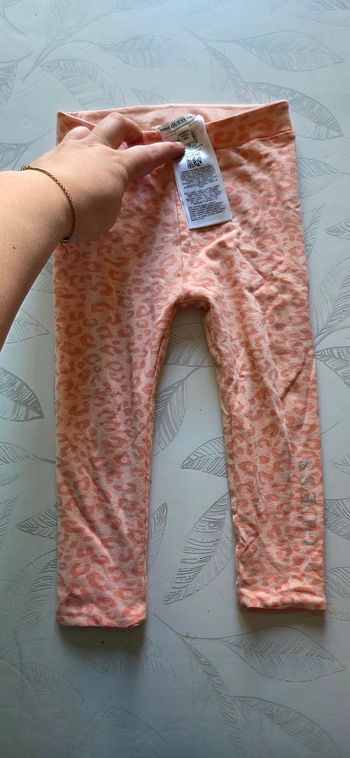 Legging Guess