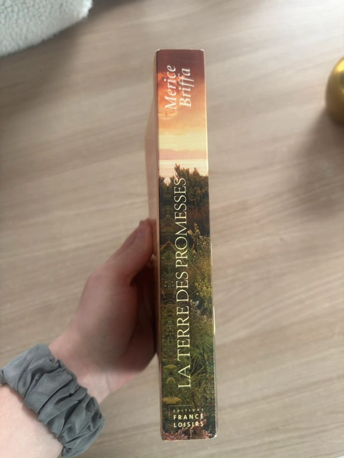 La terre des promesses - Merice Briffa - photo numéro 3