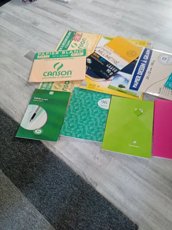 Lot fourniture 4 cahiers, papier canson papier millimètre - photo numéro 2