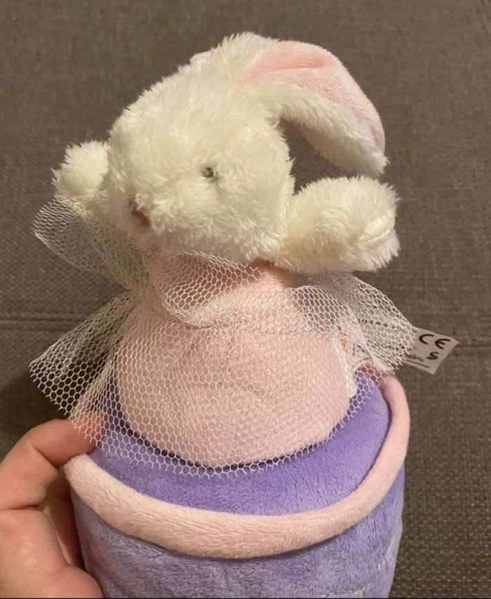 Lapin musical - photo numéro 3