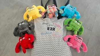 Peluches émotions