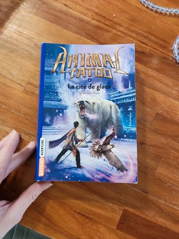 Livre : La cité de glace