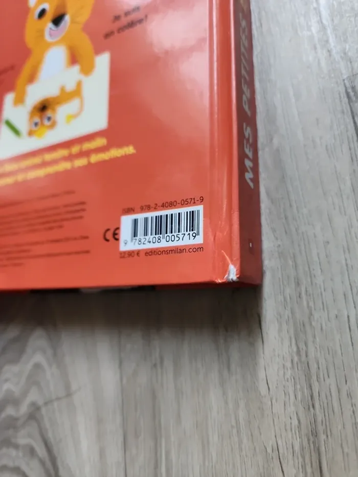 Livre mes petites émotions - photo numéro 5