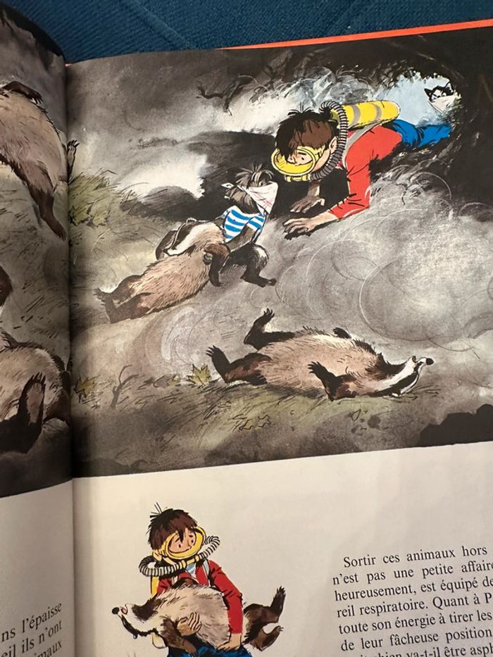 1979 Livre ancien Fanfan et la Colline en Feu Grands albums Hachette Pierre probst auteur Caroline - photo numéro 4