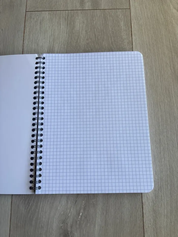 Petit cahier Fiducial - photo numéro 2
