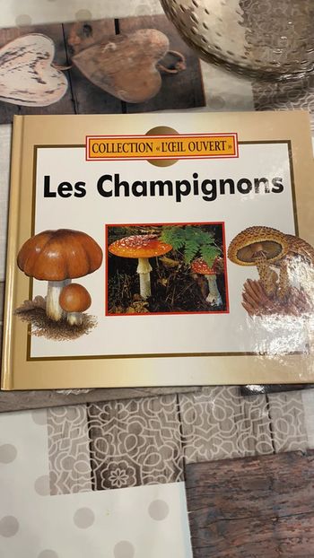 Les champignons