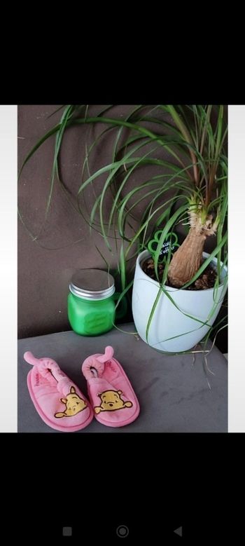 Chaussons Winnie l'ourson + chaussettes