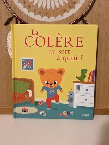 Livre la colère ça sert à quoi 