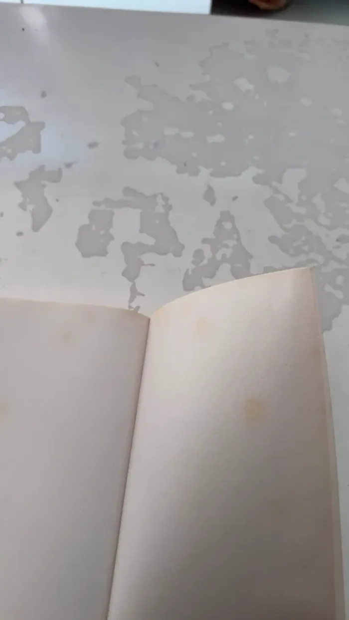 📚 Si je reste – Gayle Forman - photo numéro 6