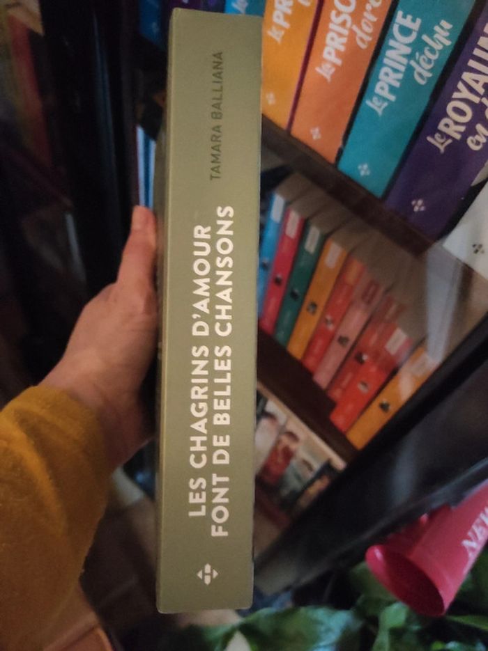 Les chagrins d'amour - photo numéro 3