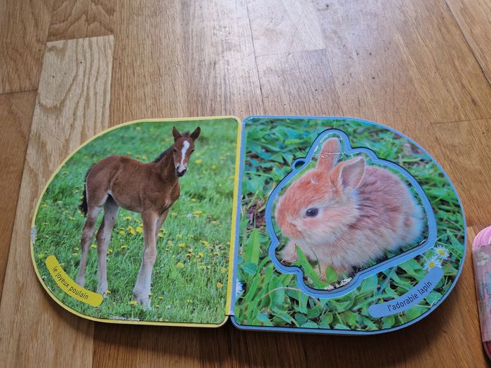 Lot livres 1 - photo numéro 6