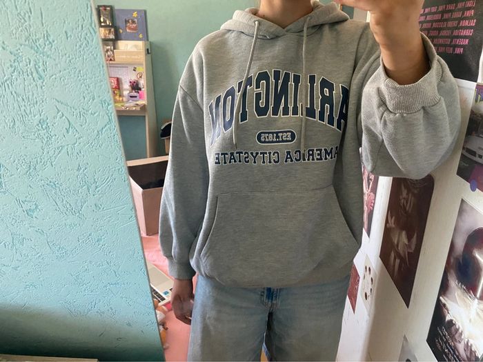 sweat shirt a capuche gris - photo numéro 2