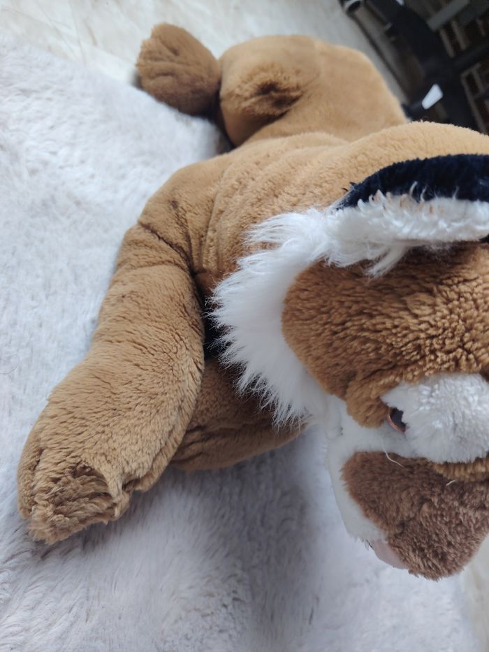 Peluche - photo numéro 5