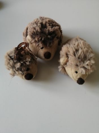 peluche hérisson