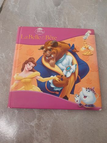 Livre : La Belle et la Bête