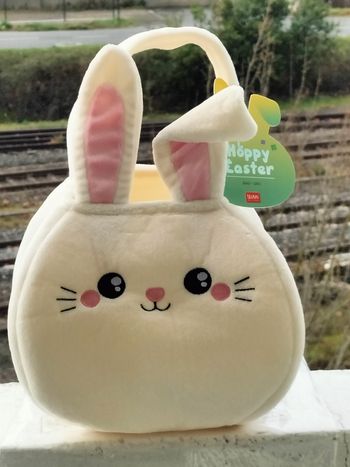 Bunny happy sac lapin 