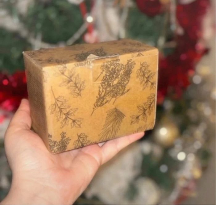 Photophore - photo numéro 3