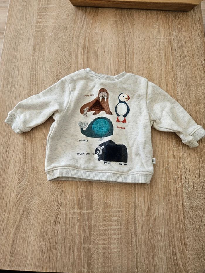 Sweat 3M