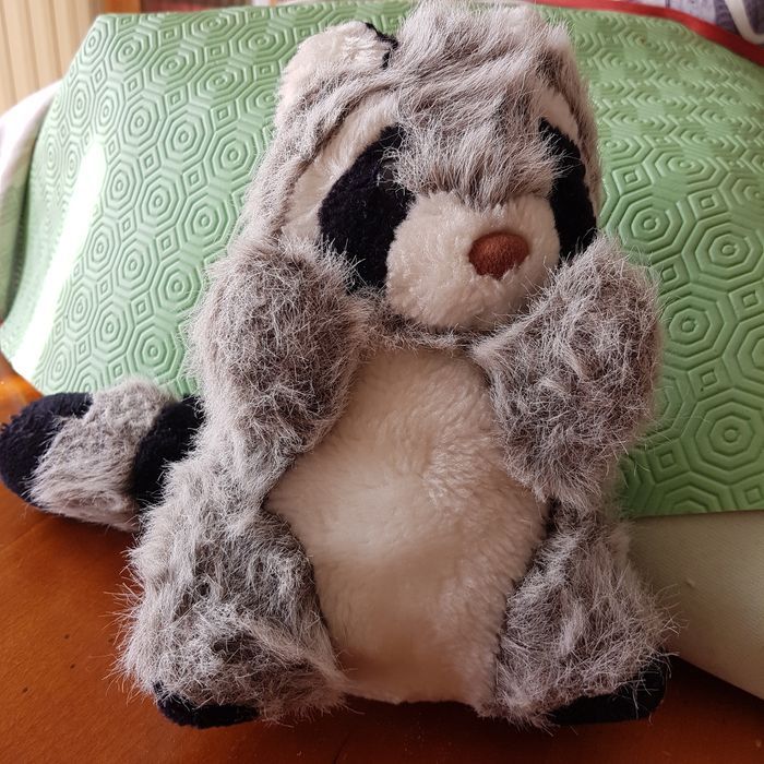 Peluche raton laveur